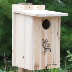 Attract Screech Owls & Kestrels – BestNest Cedar Nesting House -The Birdhouse Chick 5