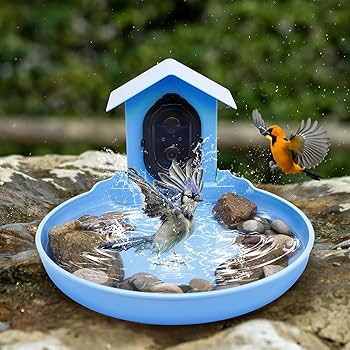 The Birdhouse Chick -The Birdhouse Chick 81PapFqwInL. AC UF350350 QL80