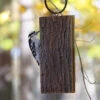 Suet Sandwich Tree Bark Textured Recycled Plastic Bird Feeder for Woodpeckers & Songbirds 1 Suet Sandwich Tree Bark Textured Recycled Plastic Bird Feeder for Woodpeckers & Songbirds -The Birdhouse Chick AAS612 780e6926 1c57 477e 82cc 80e1444ebaed