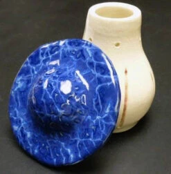 Mushroom Fruit Fly Trap