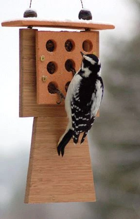 Handmade Canadian Bamboo & Stoneware – Tail Prop Sustainable Suet Feeder 3 Handmade Canadian Bamboo & Stoneware – Tail Prop Sustainable Suet Feeder