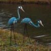 Steel Heron Pair Garden Sculptures -The Birdhouse Chick ANCIENT919 smll