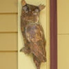 Flamed Owl Wall Decor -The Birdhouse Chick ANCIENTAG10226NEW