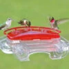 Jewel Box Window Hummingbird Feeder 2 Jewel Box Window Hummingbird Feeder -The Birdhouse Chick ASP lrg 407 7e9f35c2 9fe6 4db7 aa2a c42e1fcc789a