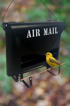 Air Mail Squirrel-Resistant Bird Feeder