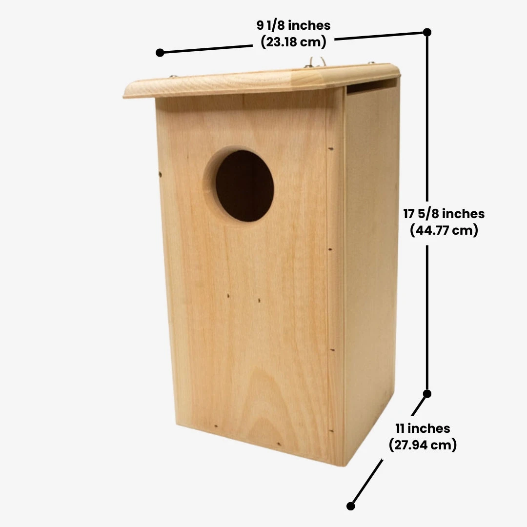 Attract Screech Owls & Kestrels – Coveside Premium Nesting Box 5 Attract Screech Owls & Kestrels – Coveside Premium Nesting Box - Image 3