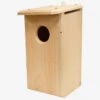 Attract Screech Owls & Kestrels – Coveside Premium Nesting Box