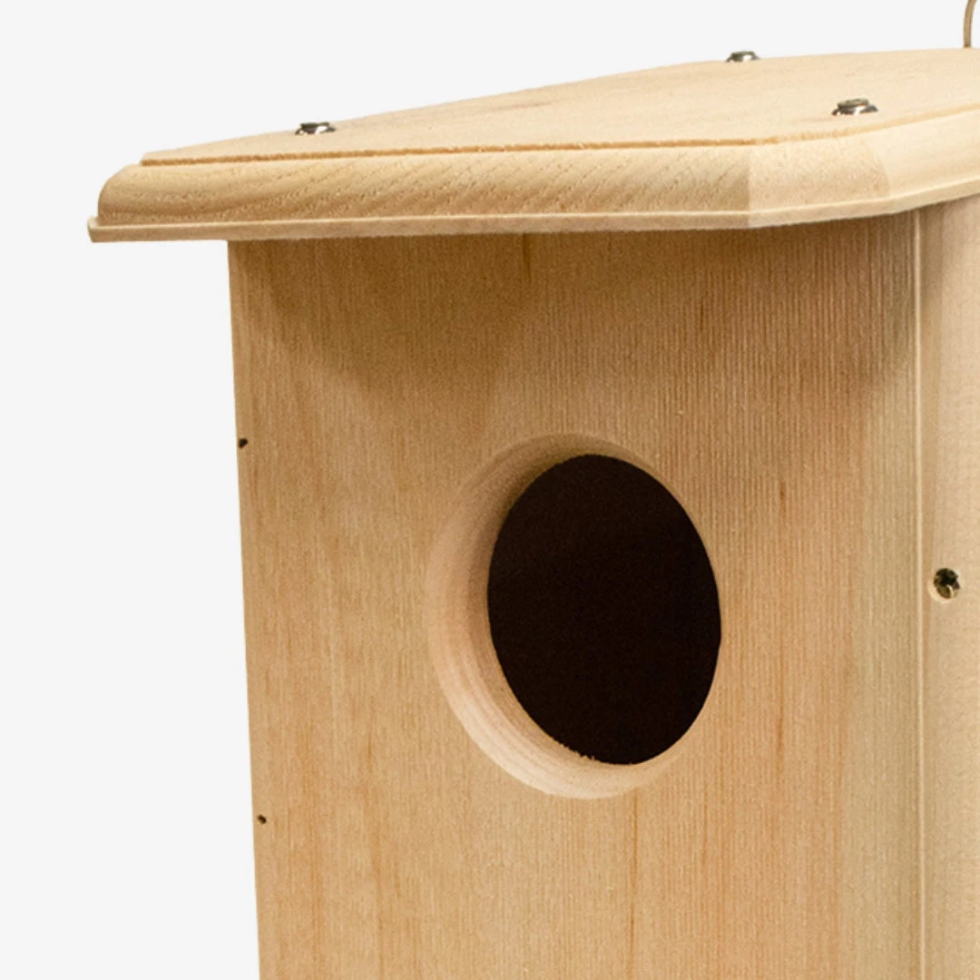 Attract Screech Owls & Kestrels – Coveside Premium Nesting Box 6 Attract Screech Owls & Kestrels – Coveside Premium Nesting Box - Image 4