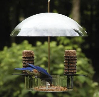 Super Dome Bird Feeder with Clear Weather Guard and Dual Suet Holders – Adjustable Bluebird Mealworm Feeder 4 Super Dome Bird Feeder with Clear Weather Guard and Dual Suet Holders – Adjustable Bluebird Mealworm Feeder - Image 2