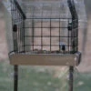 Caged Platform Window Feeder 2 Caged Platform Window Feeder -The Birdhouse Chick BC SNWMKIT