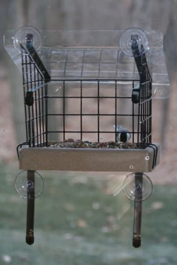 Caged Platform Window Bird Feeder - Squirrel Resistant Recycled Poly-Lumber 3 Caged Platform Window Bird Feeder - Squirrel Resistant Recycled Poly-Lumber