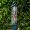 Squirrel Buster Plus With Optional Weather Guard -The Birdhouse Chick BRM1024 color d7418b1f bcf7 45f0 a87d a292fda24e68