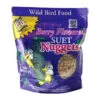 Berry Bliss Suet Nuggets – 27 Oz -The Birdhouse Chick BerryBlissSuetNuggets