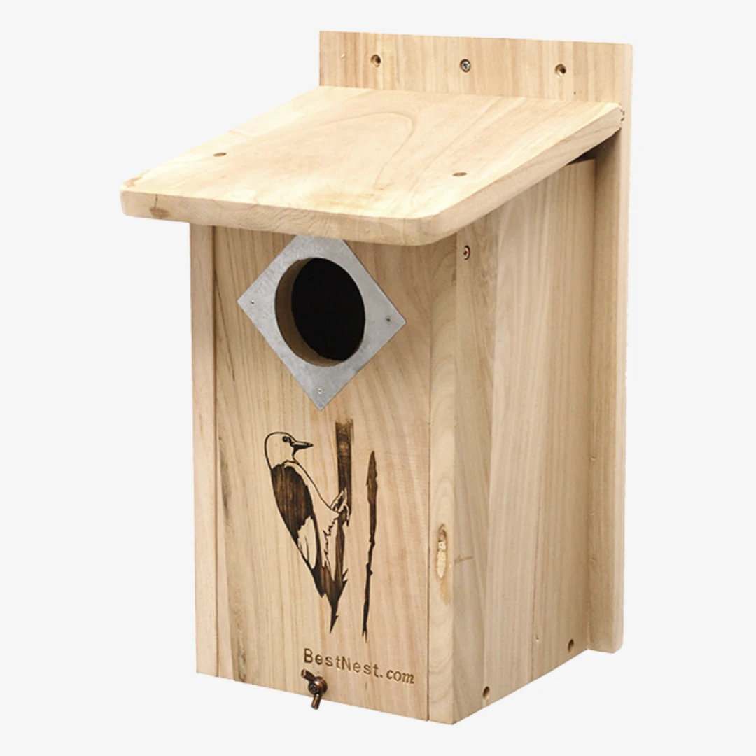 BestNest Classic Natural Wood Three-Woodpecker House with Metal Predator Guard 5 BestNest Classic Natural Wood Three-Woodpecker House with Metal Predator Guard - Image 3