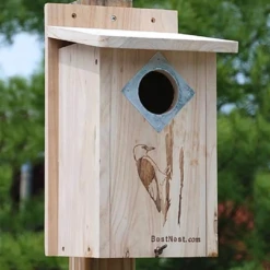 BestNest Classic Natural Wood Three-Woodpecker House with Metal Predator Guard 10 BestNest Classic Natural Wood Three-Woodpecker House with Metal Predator Guard -The Birdhouse Chick BestNest Three Woodpecker House Ideal for Woodpecker Species 3