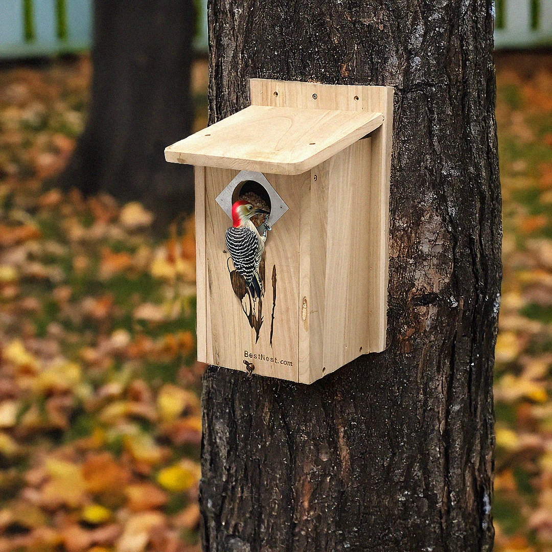 BestNest Classic Natural Wood Three-Woodpecker House with Metal Predator Guard 4 BestNest Classic Natural Wood Three-Woodpecker House with Metal Predator Guard - Image 2