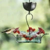 Bouquet Classic 3-Vessel Hand-Blown Recycled Glass Hummingbird Feeder - No-Drip Metal Basket Design 1 Bouquet Classic 3-Vessel Hand-Blown Recycled Glass Hummingbird Feeder - No-Drip Metal Basket Design -The Birdhouse Chick Bouquet 3 Clear