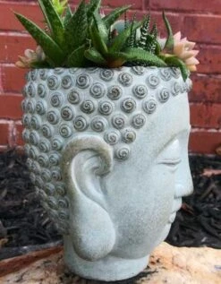 Buddha Head Planter -The Birdhouse Chick Buddha Head Planter side view