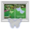 Window Alert Decals- Prevent Bird Strikes -The Birdhouse Chick Butterflydecal 2c3bd1fe 0cd7 4404 8016 75b07a7ca0bb