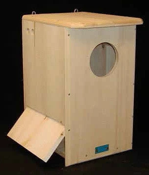 Barred Owl House 3 Barred Owl House