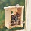 Window View Birdhouse Kit -The Birdhouse Chick CS window nest 1cf24002 588a 4351 acc2 319403ac5724