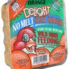 No Melt Orange Dough Suet Cake 2 No Melt Orange Dough Suet Cake -The Birdhouse Chick CS50529