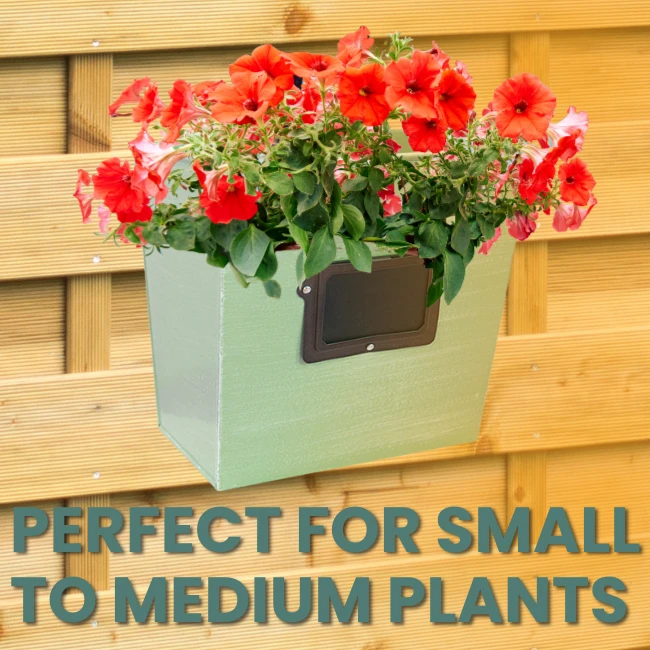 ColorPop Garden Wall Planters - Image 3