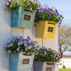 ColorPop Garden Wall Planters