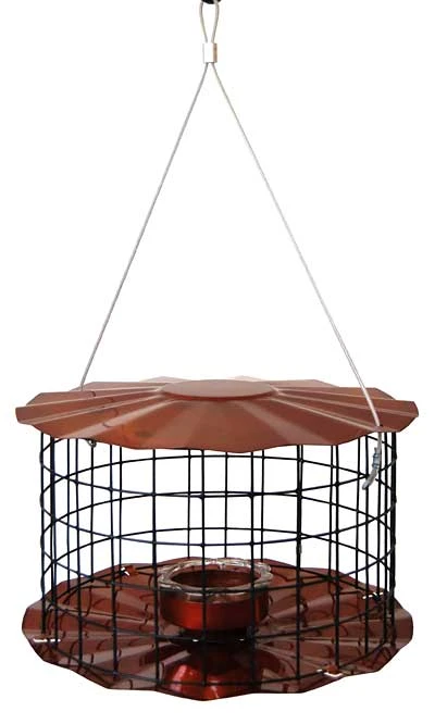 Blue Erva Caged Hanging Bluebird Feeder β Starling-Resistant Metal Bird Feeder 4 Blue Erva Caged Hanging Bluebird Feeder β Starling-Resistant Metal Bird Feeder - Image 2