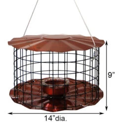 Blue Erva Caged Hanging Bluebird Feeder β Starling-Resistant Metal Bird Feeder 8 Blue Erva Caged Hanging Bluebird Feeder β Starling-Resistant Metal Bird Feeder -The Birdhouse Chick Copper Bird Feeder For Bluebirds