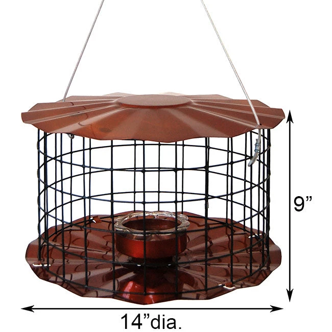 Blue Erva Caged Hanging Bluebird Feeder β Starling-Resistant Metal Bird Feeder 5 Blue Erva Caged Hanging Bluebird Feeder β Starling-Resistant Metal Bird Feeder - Image 3