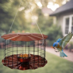 Caged Hanging Bluebird Feeder
