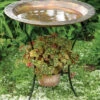 Flamed Bird Bath With Planter -The Birdhouse Chick Copper plate Bird Bath