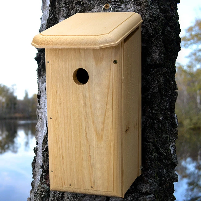 Coveside Chickadee Coop 3 Coveside Chickadee Coop