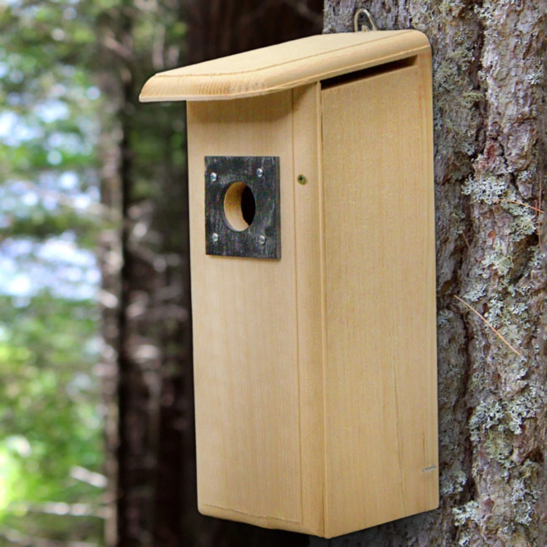 Coveside Natural Pine with Slate Guard – Woodpecker Flicker Nesting House - Image 2