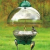 Big Top Squirrel Proof Bird Feeder 1 Big Top Squirrel Proof Bird Feeder -The Birdhouse Chick DYBTG