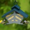 Deluxe Duo Bird Feeder in Gray and Blue – Chalet Style Metal Feeder with Dual Perches -The Birdhouse Chick Deluxe Duo Bird Feeder