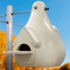 Deluxe Purple Martin Gourd 1 Deluxe Purple Martin Gourd -The Birdhouse Chick Deluxe Purple Martin Gourd