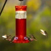 Diamond Ruby Hummingbird Feeder -The Birdhouse Chick Diamond Ruby Hummingbird Feeder