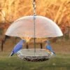 Domed Wild Bird Feeder -The Birdhouse Chick Domed Wild Bird Feeder