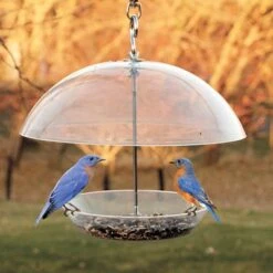 Domed Wild Bird Feeder