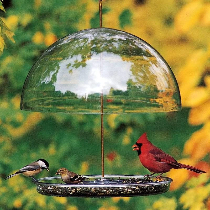 Dorothy’s Cardinal Bird Feeder – 15-Inch Adjustable UV-Stabilized Dome Hanging & Pole-Mount Feeder 3 Dorothy’s Cardinal Bird Feeder – 15-Inch Adjustable UV-Stabilized Dome Hanging & Pole-Mount Feeder