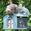 Durable Metal Squirrel Feeder -The Birdhouse Chick Durable Metal Squirrel Feeder