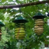 Esschert Design Hunter Green Spring Bird Feeder - Spiral Nesting Material & Suet Holder -The Birdhouse Chick ESH SPRING