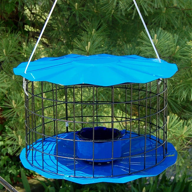 Blue Erva Caged Hanging Bluebird Feeder β Starling-Resistant Metal Bird Feeder 6 Blue Erva Caged Hanging Bluebird Feeder β Starling-Resistant Metal Bird Feeder - Image 4