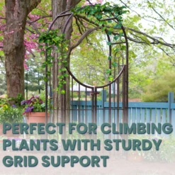 Secret Garden Arch & Gate -The Birdhouse Chick Elegant Gate Structure of Secret Garden Arch Gate