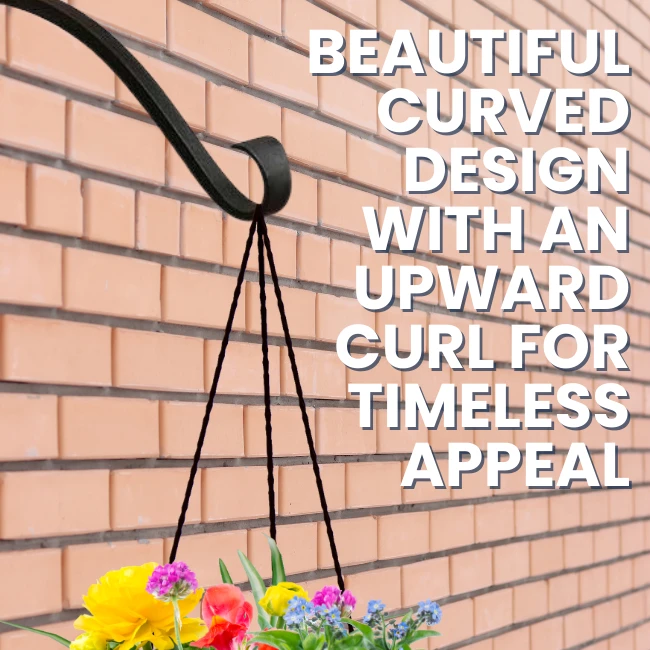 Sturdy Scroll Wall Mount Hook 5 Sturdy Scroll Wall Mount Hook - Image 3