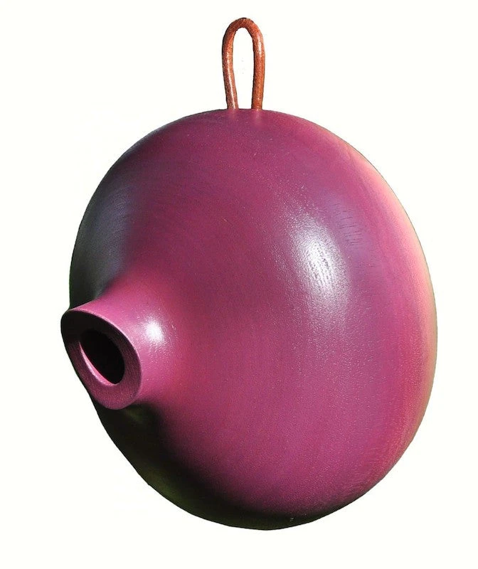 Ellipse Sustainable Mango Wood Birdhouse โ Modern Hand-Turned Nesting Box in 3 Colors 5 Ellipse Sustainable Mango Wood Birdhouse โ Modern Hand-Turned Nesting Box in 3 Colors - Image 3
