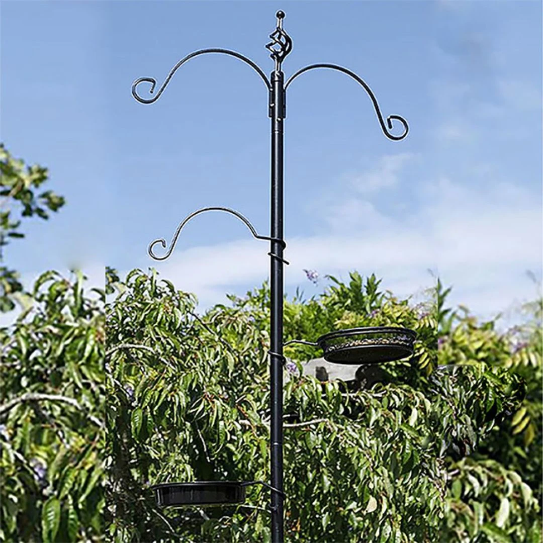 Essex 6'7" Black Bird Feeding Station Kit - Multi-Hook Garden Pole with Bird Bath and Mesh Tray 4 Essex 6'7" Black Bird Feeding Station Kit - Multi-Hook Garden Pole with Bird Bath and Mesh Tray - Image 2