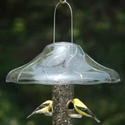 Hanging Weather Guard And Squirrel Baffle